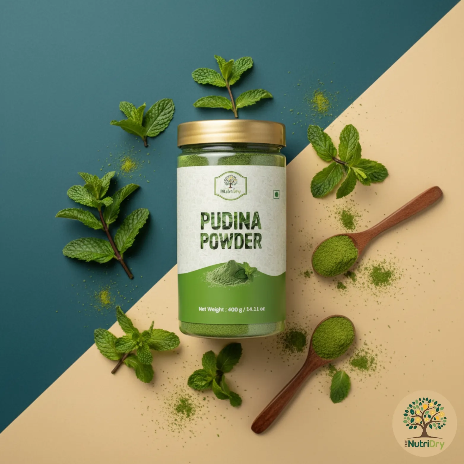 Pudina Powder